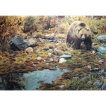 Trailblazer - Grizzly Bear by wildlife artist Carl Brenders