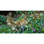 Violet Trails and Cottontails - Rabbits among spring flowers by artist Carl Brenders