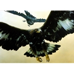 Without Warning - Golden Eagle and Raven by wildlife portrait artist Carl Brenders
