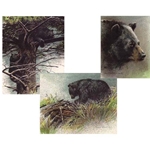 Black Bear Edition Predator Portfolio by Robert Bateman