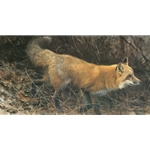 On the Move - Red Fox by Robert Bateman