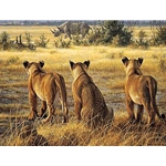 Passing Fancy - Lion Cubs and Rhino by Robert Bateman
