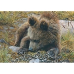 Bearly Awake - Grizzly bear cub by wildlife artist Carl Brenders