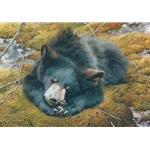 Bearly Asleep - Young Black Bear by wildlife artist Carl Brenders