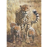 Message on the Wind - Cheetah with cubs by wildlife artist Carl Brenders