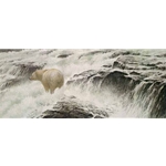 Spirit Bear by Robert Bateman