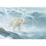 Salmon Watch - Spirit Bear (Polar bear) by Robert Bateman