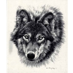 Den Mother Pencil Sketch - Wolf by Carl Brenders