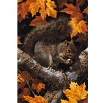 Golden Season - Gray Squirrel by wildlife artist Carl Brenders