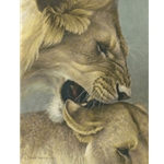 The Mating Game - Lions by Robert Bateman