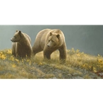 Alaska Light - Grizzly Bear by Robert Bateman