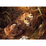 Shadows in the Grass - Young Cougars by wildlife artist Carl Brenders