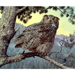 Silent Hunter - Great Horned Owl by wildlife artist Carl Brenders