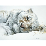 Snowy Nap - Siberian Tiger by Robert Bateman