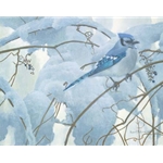 Snowy Morning - Blue Jay by Robert Bateman
