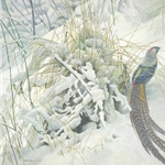 Lady Amherst Pheasant by Robert Bateman