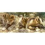 Pick of the Pack - Wolf cubs by wildlife artist Carl Brenders