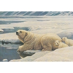 Arctic Family - Polar Bears by Robert Bateman