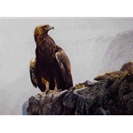 In the Highlands - Golden Eagle by Robert Bateman