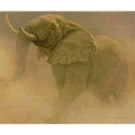 Bluffing Bull African Elephant by Robert Bateman
