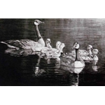 Canada Geese Family by Robert Bateman
