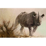 Charging Rhino by Robert Bateman