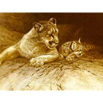 Cougar and Kit by Robert Bateman
