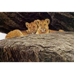 Lion Cubs by Robert Bateman