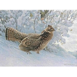 Early Snowfall - Ruffed Grouse by Robert Bateman