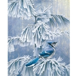 Frosty Morning - Blue Jay by Robert Bateman