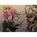 Golden-crowned Kinglet and Rhododendron by Robert Bateman