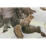 Gray Squirrel by Robert Bateman