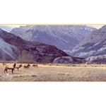 Gathering of the Herd - Elk by wildlife artist Brent Townsend