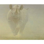 Power Play - Rhinoceros by Robert Bateman