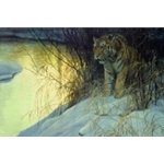 Siberian Tiger by Robert Bateman