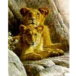 Lion Cubs - Sappi Portfolio by Robert Bateman