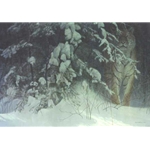 Siberian Night by Robert Bateman