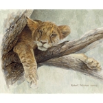 Up a Tree - Lion Cub by Robert Bateman