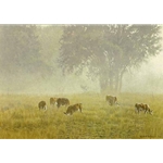 Summer Morning Pasture by Robert Bateman