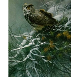 Winter Pine - Great Horned Owl by Robert Bateman