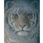 Tiger at Dusk by Robert Bateman