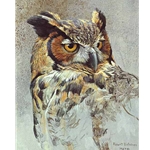 Great Horned Owl Study by Robert Bateman
