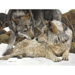 The Alphas - Wolf pair by Judy Larson