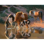Night Cap - Horses by equine artist Bonnie Marris