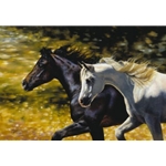 Night and Day - Black and white horses by artist Bonnie Marris