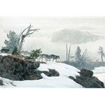 Along the Ridge - Wolves by wildlife artist Rod Frederick