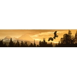 Cascade Skyline - Bald Eagles flying at Sunset by wildlife artist Rod Frederick