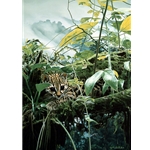 Dragon Slayer - Ocelot and Dragonfly by wildlife artist Rod Frederick