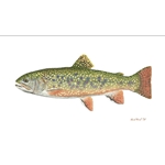 Pennsylvania Brook Trout by piscatorial fishing artist Flick Ford
