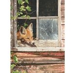 Room With a View - Red Fox by wildlife artist John Mullane